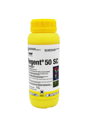 Regent 50 Sc – Systemic Insecticide