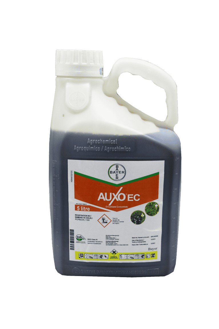 Auxo Ec – Selective Herbicide For Weed Control In Maize.