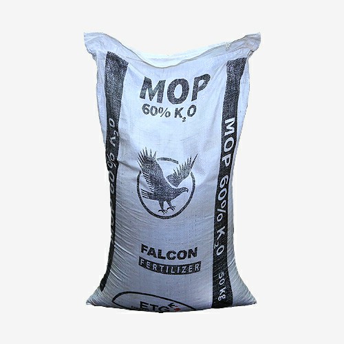Mop