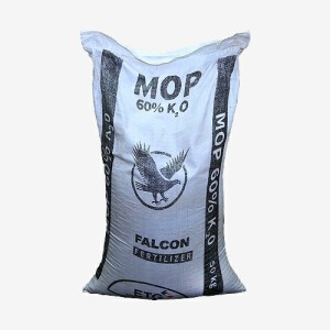 Mop